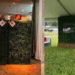 h2h lounge backdrop rental flower hedge wall 5