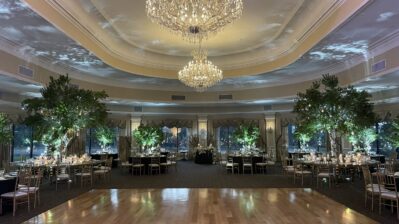oheka castle wedding band stage decor (12)
